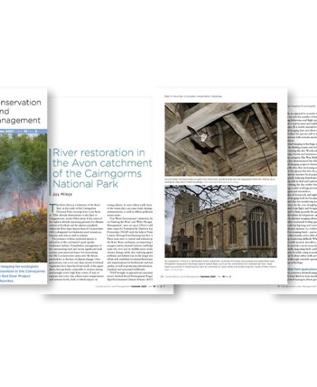 Conservation Land Management: Summer 2021