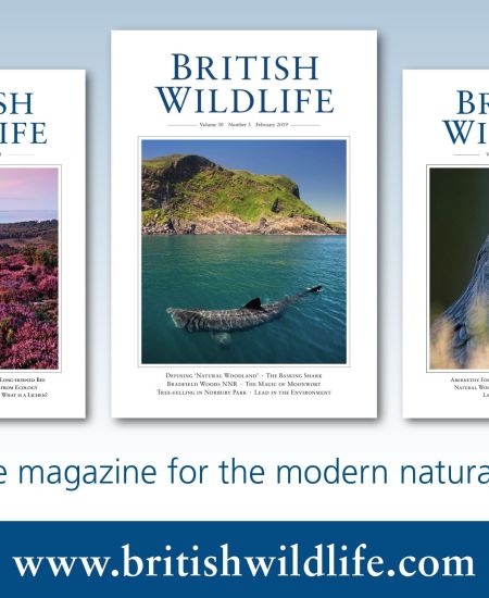 British Wildlife Book Reviews