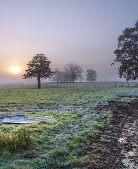 The NHBS Introduction to Habitats: Farmland