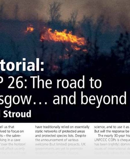 COP 26: The road to Glasgow… and beyond