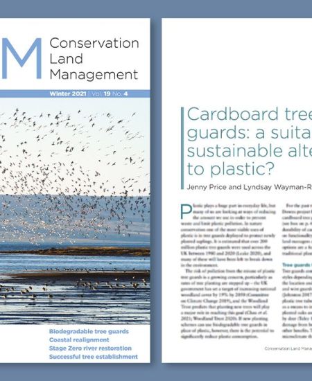 Cardboard tree guards: a suitable and sustainable alternative to plastic?