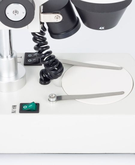 The Naturalist’s Microscope Guide Part 1: Stereo Microscopes