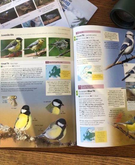 The Big Garden Birdwatch: NHBS Staff Results 2023
