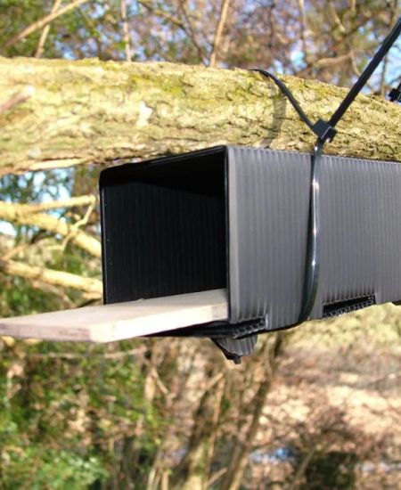 Professional Ecologists:  Get Ready for Spring Surveys