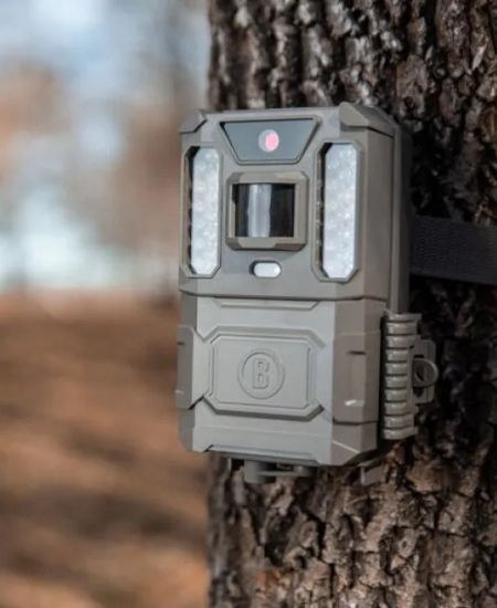 Trail Camera Tips and Troubleshooting: Part 1