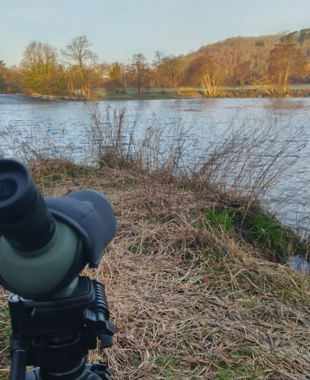 In The Field: Kowa TSN-501 Spotting Scope