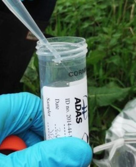 Environmental DNA for Ecologists