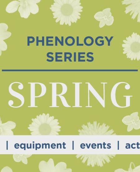Phenology Series: Spring