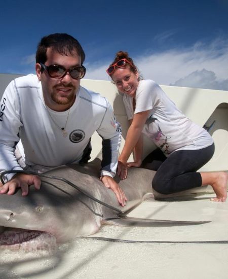 Author Interview with David Shiffman: Why Sharks Matter