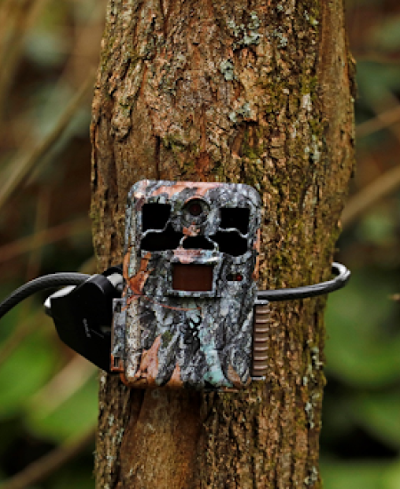 Trail Camera Tips and Troubleshooting: Part 2