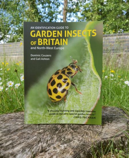 Testing the Guide: An Identification Guide to Garden Insects of Britain and North-West Europe