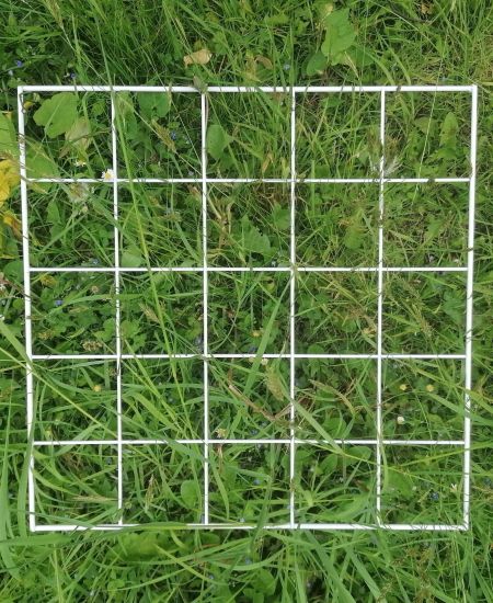 How to use a quadrat