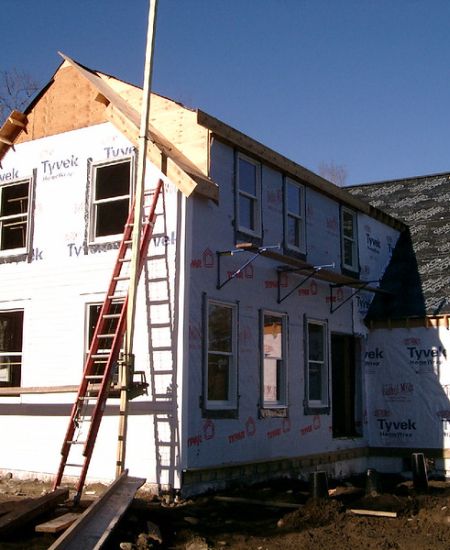 Help! I Need an Ecologist: Advice for Homeowners