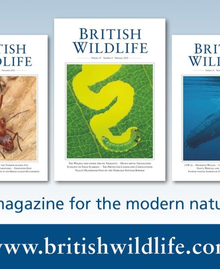 Book reviews recently featured in British Wildlife