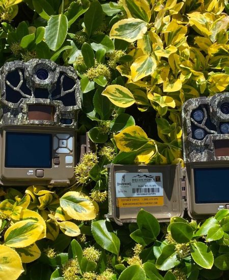 In The Field: Browning Spec Ops Elite HP5 & Browning Recon Force Elite HP5