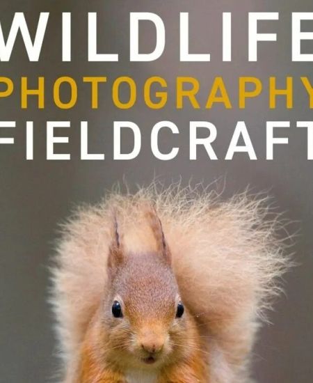 Author Interview with Susan Young: Wildlife Photography Fieldcraft