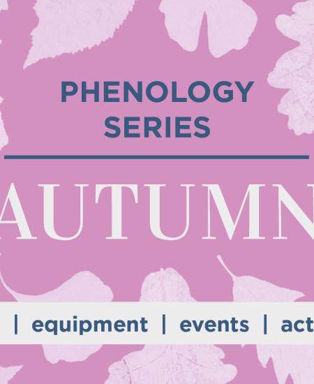 Phenology Series: Autumn
