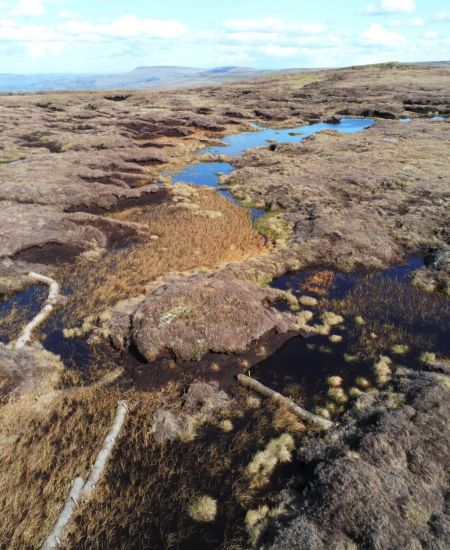 Conservation Land Management: Autumn 2022