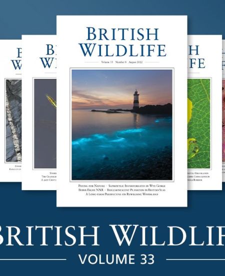 Volume 33 of British Wildlife