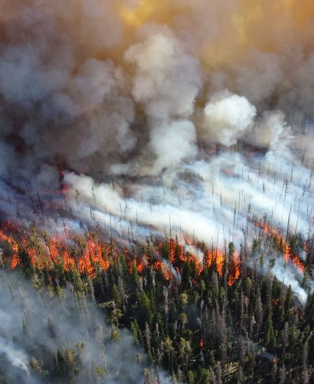 Recent and Forthcoming Titles on Climate Change