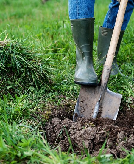 It’s tree planting season!
