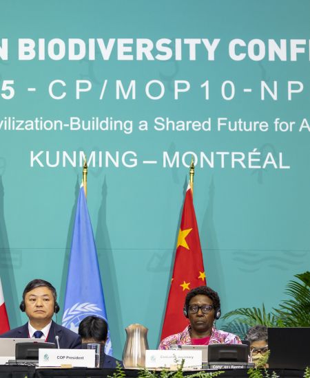 What are the results of COP15 and do they really mean anything?