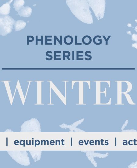 Phenology Series: Winter