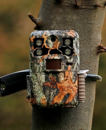 Buyers’ Guide: Trail Cameras