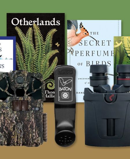 2022 author interviews, book reviews and field tests