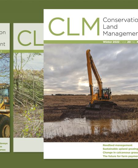 A look back over volume 20 of Conservation Land Management