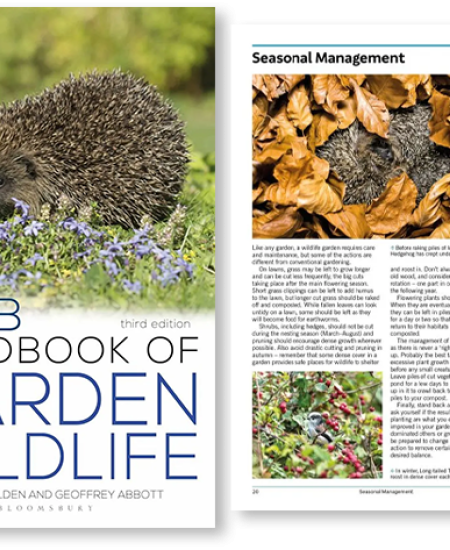 Author Interview with Peter Holden and Geoffrey Abbott: RSPB Handbook of Garden Wildlife