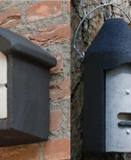 Buyers’ Guide: Bat Boxes
