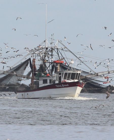 The High Seas Treaty – What is it and Will it Be Effective? 