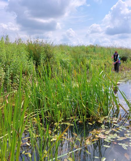 Conservation Land Management: Spring 2023