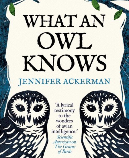 Book review: What an Owl Knows