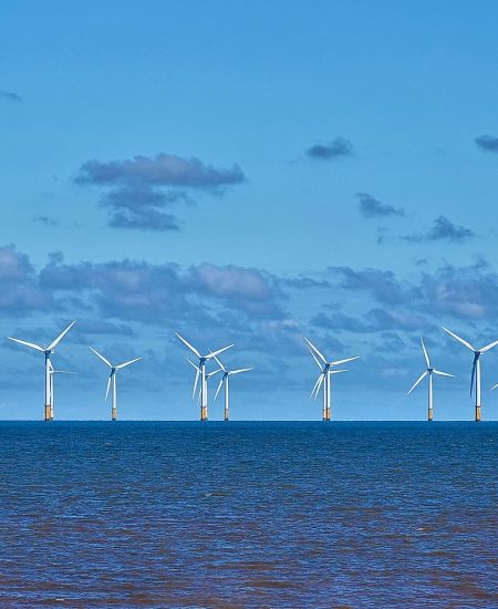 Offshore wind farms: Climate Change vs Biodiversity