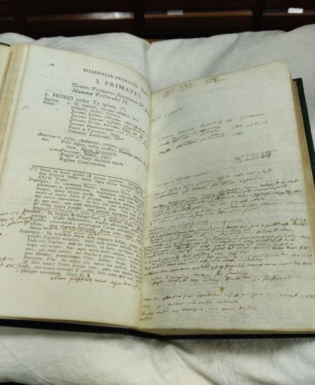 European Botanical and Horticultural Libraries Group (EBHL) Annual Conference