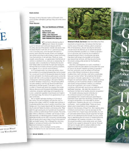 Book reviews in volume 34 of British Wildlife 