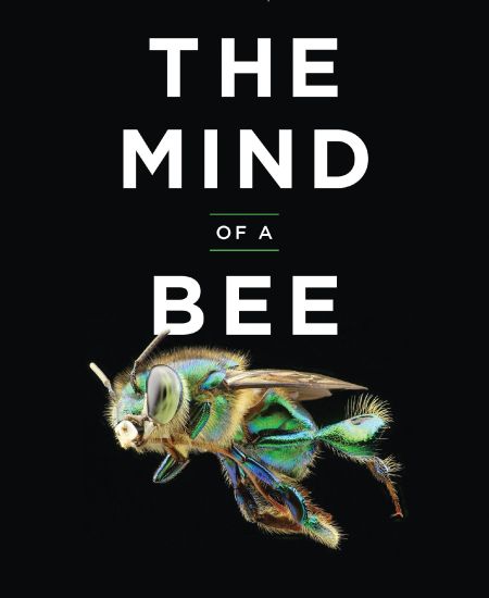 Book review: The Mind of a Bee