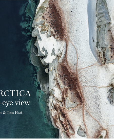 Author Q&A with Michelle Sole: Antarctica: A Bird’s-eye View