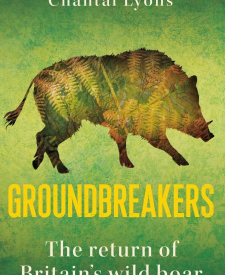 Author Q&A with Chantal Lyons: Groundbreakers