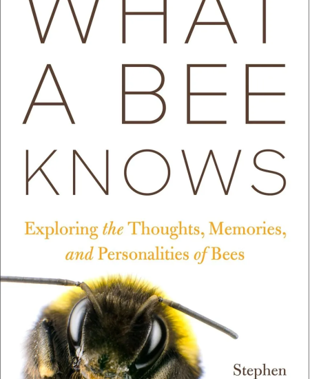 Book Review: What a Bee Knows