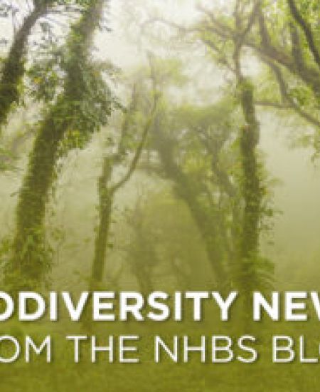 This Week in Biodiversity News – 17th June
