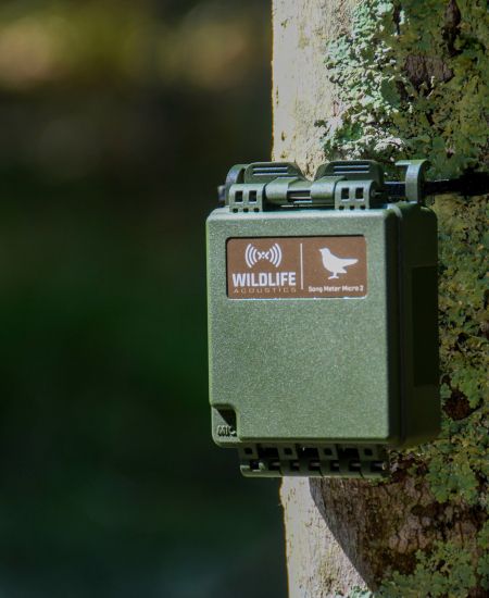 Meet the new Song Meter 2 ultrasonic and acoustic recorders