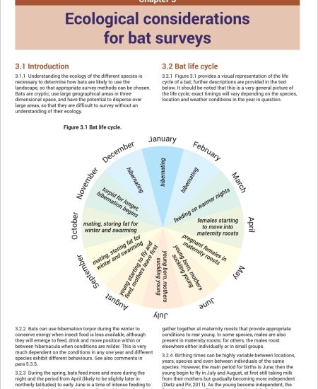 Neil Middleton on the 4th edition of Bat Surveys for Professional Ecologists