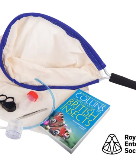 Equipment in Focus: Royal Entomological Society Bug Hunting Kits