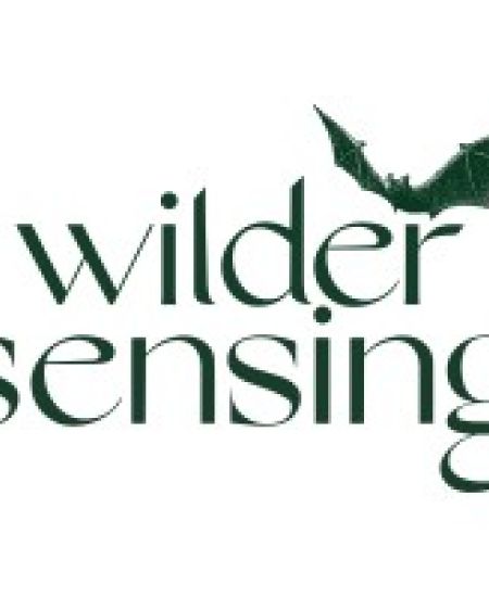 Wilder Sensing: An Interview with Geoff Carss