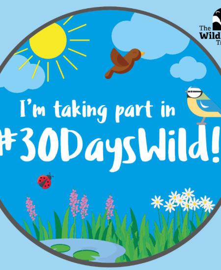 30 Days Wild: NHBS Update