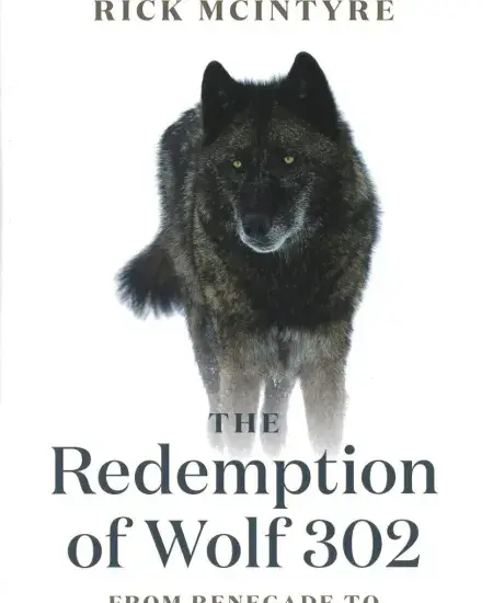 Book Review: The Redemption of Wolf 302