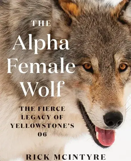 Book Review: The Alpha Female Wolf